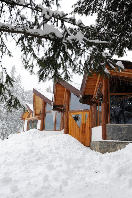 Hotel Gura Diham Buşteni Esterno foto