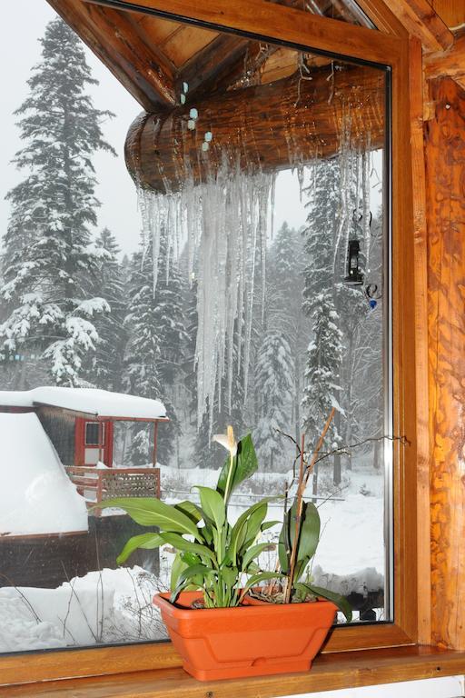 Hotel Gura Diham Buşteni Esterno foto